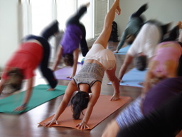 Eka Pada Adho Mukha Svanasana - One-Legged Downward-Facing Dog Pose