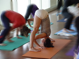 Prasarita Padottanasana - Wide Angle Standing Forward Bend